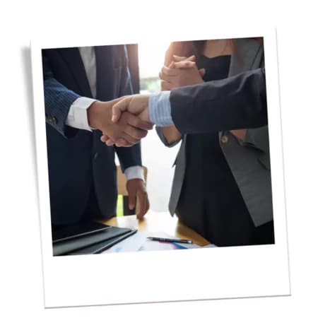 Wleness - Guiding Business And Leaders to Success